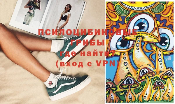 прущие грибы Алексин