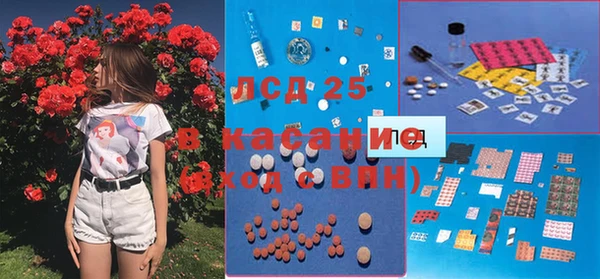 прущие грибы Алексин