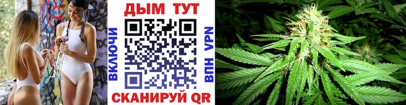 Бошки Шишки индика МЕГА маркетплейс Юрьевец купить